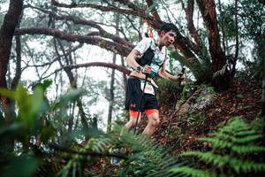 BIB: 
                            <button type="button" onclick="openModal(26295925)" class="btn btn-primary btn-sm float-right btn-popup" data-toggle="modal" data-target=".modal-high-quality">
                        <i class="fas fa-shopping-cart"></i> Add to Cart
                    </button>
                                            <button type="button" onclick="isThisMe(26295925, true)" class="btn btn-success btn-sm float-right btn-popup btn-isme hidden" data-toggle="tooltip" data-placement="bottom" title="นี่คือรูปของคุณใช่ไหม คลิกที่นี่เพื่อเอาเข้าอัลบั้ม">
                        <i class="fas fa-plus"></i> Add to album
                    </button>
                    <button type="button" onclick="isThisMe(26295925, false)" class="btn btn-warning btn-sm float-right btn-popup btn-isnotme hidden">
                        <i class="fas fa-ban"></i> Remove from album
                    </button>